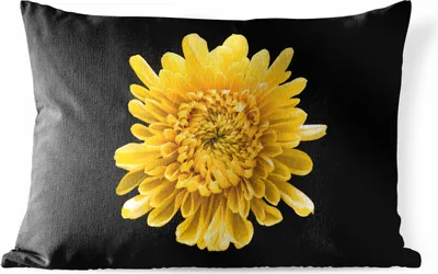 Produktbild von MuchoWow® Outdoor Kissen - Eine gelbe Chrysantheme auf schwarzem Hintergrund - 60x40 cm - Wetterfest - Lounge Kissen - Zierkissen - Kissen für Innenräume