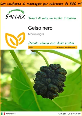 Immagine prodotto di SAFLAX Garden in the bag - Gelso nero  - 200 semi - Morus