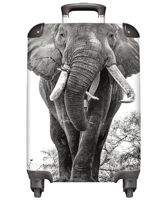 Produktbild von MuchoWow® Koffer Handgepäck Trolley Rollkoffer Kleine Reisekoffer mit 4 Rollen - Elefant - Porträt - Tiere - Schwarz und weiß - Cabin Size < 55x40x23 cm & 55x40x20 cm - Fotokoffer - Kabinenkoffer - Boardgepäck - Reise-Box - Reisekoffer - Reisegepäck - Koffer mit Bild - Trolley für Kinder
