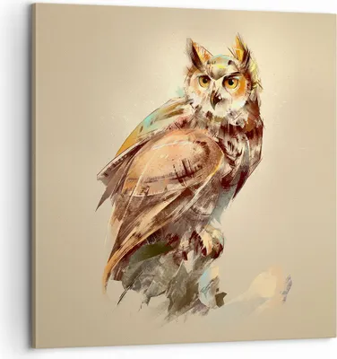 Produktbild von Bild auf Leinwand - Leinwandbild - Eule Vogel Natur - 60x60cm - Wand Bild - Wanddeko - Wandbilder - Leinwanddruck - Bilder - Kunstdruck - Wanddekoration - Leinwand bilder - Wandkunst - AC60x60-3856