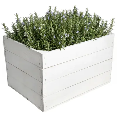 Productafbeelding van Creative Deco houten kist zonder sleuven, Wit 40 x 30 x 23 cm (+-1 cm)