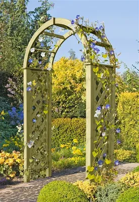 Produktbild von Rosenbogen Holz kdi Arkade 119x58x240cm