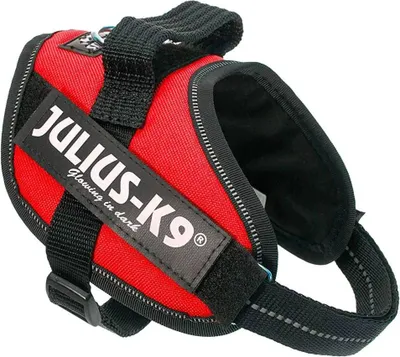 Image de Julius k9 Power-Kabelbaum / faisceau de câbles pour tags rouge