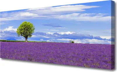 Produktbild von Tulup Leinwand-Bilder 125x50 Wandbild Canvas Kunstdruck Wiese Baum Natur