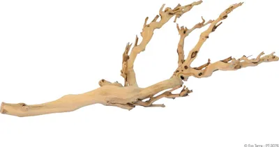 Produktbild von Exo Terra Forest Branch - sandgestrahlte Äste, Größe: M / medium
