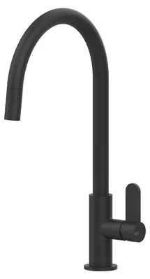 Immagine prodotto di Miscelatore monocomando Gessi Fisso 60077 299 41,1 cm Nero opaco