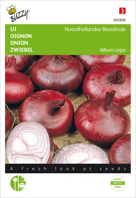 Produktbild von Zwiebel Holländische Dunkelrote | Zwiebelsamen von Buzzy Seeds