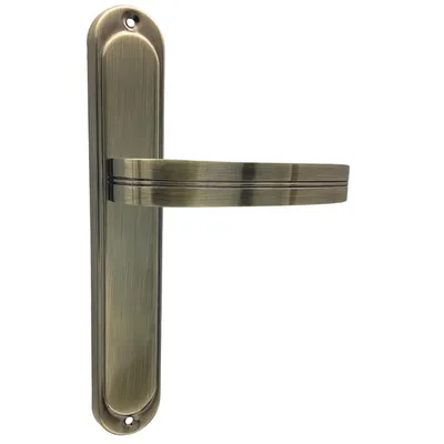 A single door handle with a long backplate, presented against a white background.