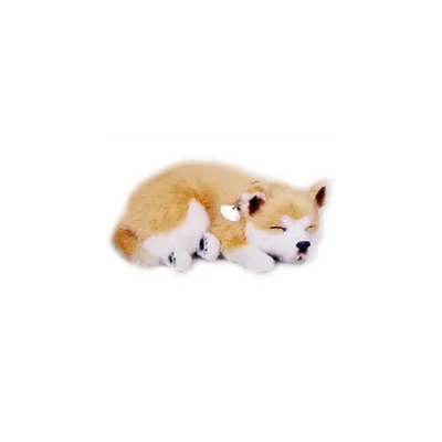 Produktbild von Perfect Petzzz 96538 Shiba Inu