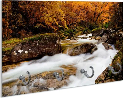 Produktbild von Wallario Schlüsselbrett aus Glas, Motiv: Fließender Bach im Herbstwald, 30 x 20 cm mit 4 Haken
