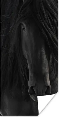 Produktbild von MuchoWow® Poster Pferd - Friese - Porträt 60x120 cm - Wandschmuck