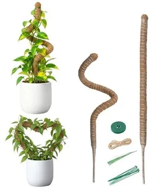 Zdjęcie produktu dla Drążek kokosowy do roślin pnących giętki 80 cm 2 szt. monstera