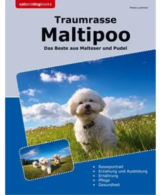 Obrázek produktu pro Traumrasse Maltipoo