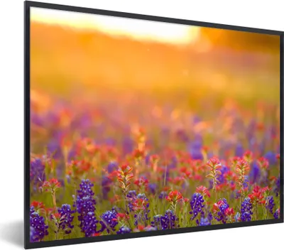 Produktbild von MuchoWow® Gerahmtes Poster Blumen - Gold - Sonne 40x30 cm - Poster mit Schwarzem Bilderrahmen Wandposter Rahmen Foto Bilder - Kunstposter - Wanddekorationen