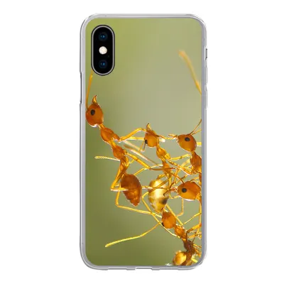 Produktbild von MuchoWow® Handyhülle Schutzhülle Hülle für iPhone X Ameisen - Orange - Tiere Silikon Softcase Handy Hülle - Handyhülle