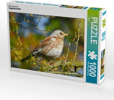 Produktbild von CALVENDO Puzzle Ein Motiv aus dem Kalender Vogelkalender | 1000 Teile Lege-Größe 64x48cm Foto-Puzzle für glückliche Stunden