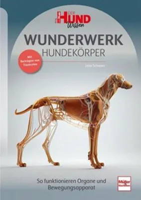 Image de Wunderwerk Hundekörper