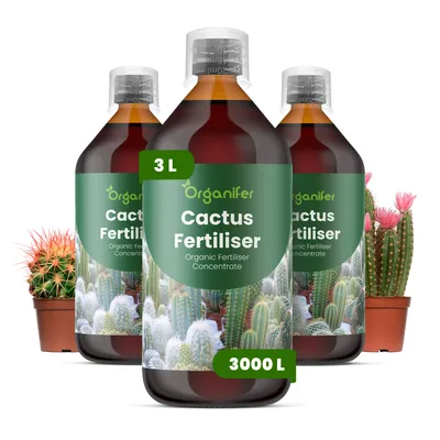 Produktbild von Kakteen Flüssigdünger 3x1L – 2-1-8 NPK – Flüssigdünger Für Sukkulenten & Kakteen – Für Wurzeln & Kräftige Pflanzen – Organifer