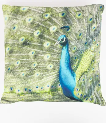 Produktbild von Elbersdrucke  Peacock 03 grün Kissen gefüllt 45x45cm