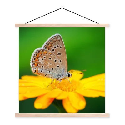 Produktbild von MuchoWow® Textilposter Blumen - Schmetterling - Natur 120x120 cm mit holzfarbenen Rahmen - Textil-Poster