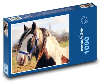 Obrázok produktu pre Puzzle 1000 Kôň na pokojnej pastve - martinpuzzle
