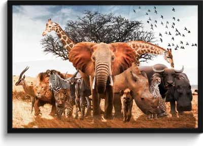 Produktbild von MuchoWow® MuchoWow® Gerahmtes Poster Tiere - Giraffe - Elefant 90x60 cm - Poster mit zchwarzem Bilderrahmen - Fotorahmen - Foto-Plakat