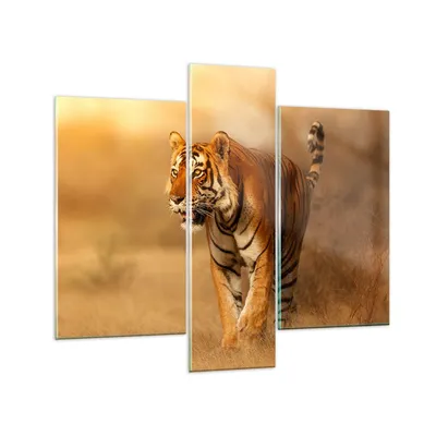 Produktbild von Bilder auf glas - tiger tier - 95x80cm - Glasbilder - Wandbilder - Bilder - Kunstdruck - zum Aufhängen bereit - Wanddekoration aus Glas - Glas Bilder - Wandbild auf Glas - 3 Teile - GCB95x80-3946