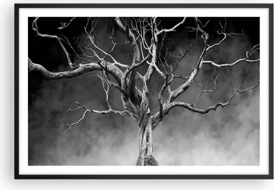 Produktbild von Gerahmtes Poster - Schwarzer Rahmen - Schwarzweiß Äste Rauch - 91,5x61 cm - Wand Bild - Wanddeko - Wandbilder - Kunstposter - Wandposter - Bilderrahmen - Bilder - Kunstdruck - Wandbild P2BAA91x61-4346