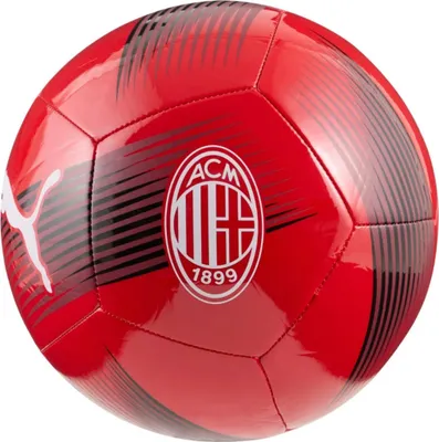 Image de Balons Puma P1901