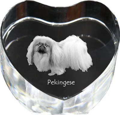 Immagine prodotto di Cagnolino pechinese - fotografia del cane in cristallo, cuore di cristallo, cornice unica con fotografia del marchio Art-Dog