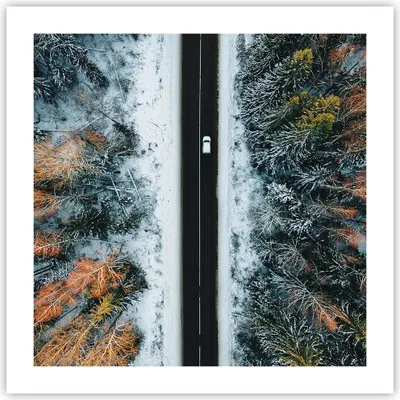 Produktbild von Poster - Poster ohne Rahmen - Wald Weg Schnee - 50x50 cm - Wand Bild - Wanddeko - Wandbilder - Kunstposter - Wandposter - Bilder - Kunstdruck - Wanddekoration - Wandbild - P2XAC50x50-4654
