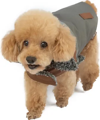 Produktbild von RAIKOU Hunde Winterjacke,? mit Reflexstreifen warm dick Plš¹sch Hunde W?rmeweste Braun L