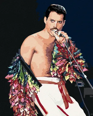 Immagine prodotto di Zuty - Dipingere con i numeri - FREDDIE MERCURY, 40x50 cm, senza cornice e senza tela