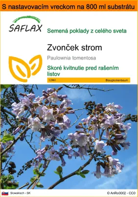 Obrázok produktu pre SAFLAX Garden in the bag - zvonček strom - Paulownia tomentosa - 200 Semená - S pestovateľským substrátom v praktickom samostaviteľnom vrecku