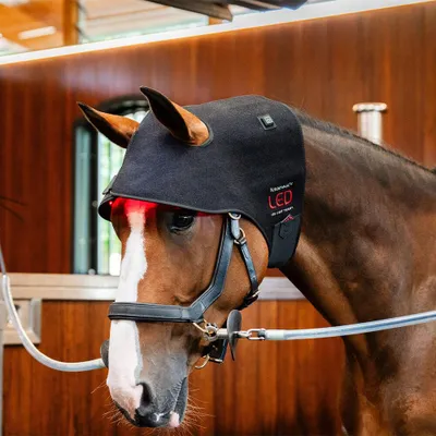 Produktbild von Horseware LED Red Light Therapy Poll Cap, Farbe:black/black, Größe:Warmblut