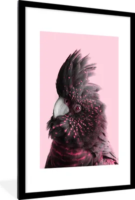Produktbild von MuchoWow® MuchoWow® Gerahmtes Poster Kakadu - Vogel - Rosa 60x90 cm - Poster mit zchwarzem Bilderrahmen - Dekoration - Wandposter Wohnzimmer - Hochwertig