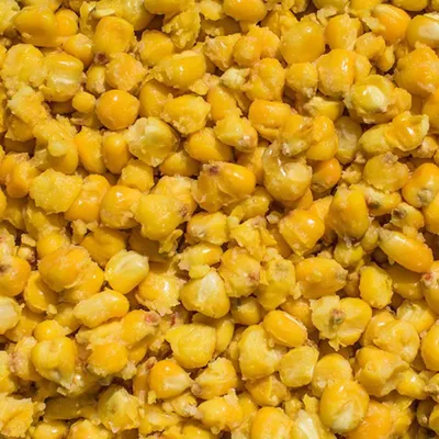 Zdjęcie produktu dla LK Baits IQ Method Feeder Corn 1kg Citrus