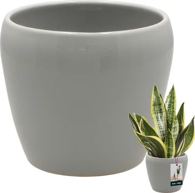 Zdjęcie produktu dla KOTARBAU® Doniczka do kwiatów szara wewnątrz okrągła ⌀ 13,5 cm H: 14 cm szkliwiona ceramiczna doniczka do kwiatów wewnątrz doniczka do kwiatów ceramiczna doniczka do kwiatów wewnątrz doniczka do orchidei ceramiczna doniczka do kwiatów duża doniczka do kwiatów
