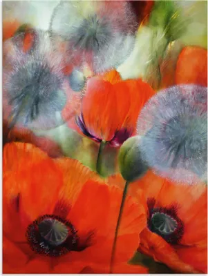 Produktbild von ARTland Wandbild Alu für Innen & Outdoor Mohn und Pusteblumen Größe: 30x40 cm