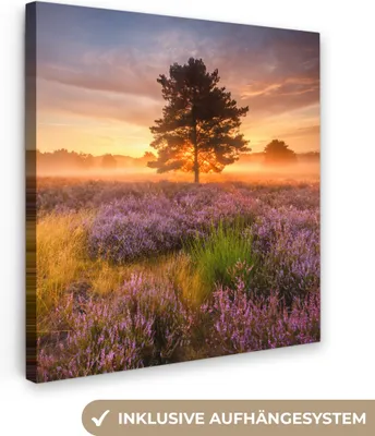 Produktbild von MuchoWow® - Leinwandbilder - Heidelandschaft mit einem Baum, Wandbild, Wanddeko Bilder Wohnzimmer, 90x90 cm
