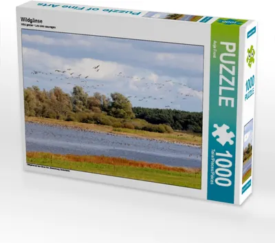 Produktbild von Calvendo Wildgänse 1000 Teile Puzzle quer 640x480mm, Frost Anja; 7295128