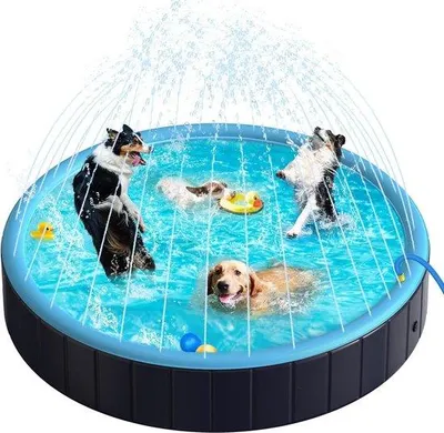 Produktbild von Famanu Hundepool 2-in-1 - Blau, großformatig