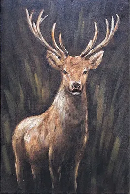 Produktbild von Leinwandbild - Motiv: Hirsch - 120 x 80cm