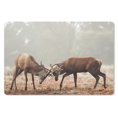 Produktbild von MuchoWow® Mauspad Mousepad Hirsche - Wald - Gras 27x18 cm - Mousepads - Maus Mat - Pad - Mausunterlage - Büroartikel - Desk Matten