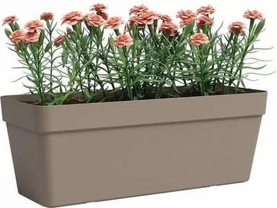 A taupe planter filled with pink flowers and green foliage, set against a white background.