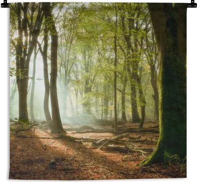Produktbild von MuchoWow® Wandteppich Wandbehang Wald - Sonne - Jahreszeiten - Landschaft 120x120 cm Tapisserie Dekoration Wandtuch - Modern - Baumwollgewebe