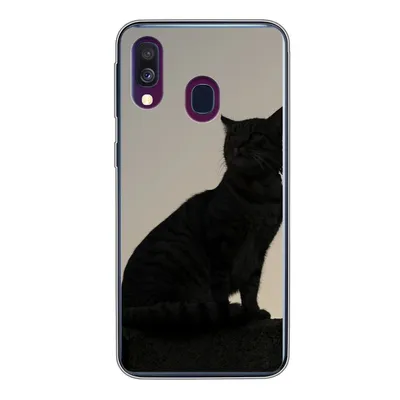 Produktbild von MuchoWow® Handyhülle Schutzhülle Hülle für Samsung Galaxy A40 Katze - Dunkelheit - Zaun Silikon Softcase Handy Hülle - Handy-Tasche