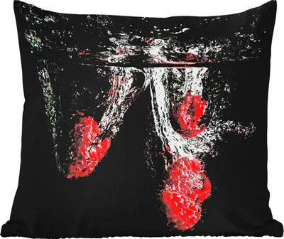 Produktbild von MuchoWow® Outdoor Kissen - Himbeeren - Obst - Stilleben - Wasser - Schwarz - Rot - 50x50 cm - Wetterfest - Lounge Kissen - Komfortabel - Kissen mit Bild