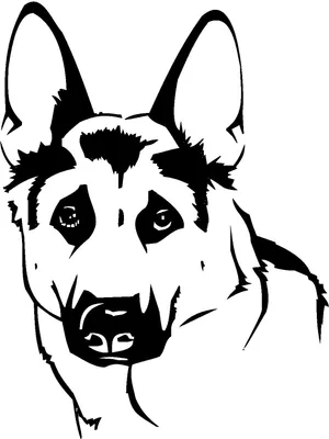 Produktbild von KFZ-Aufkleber - Schäferhund - Hund - Autoaufkleber - Deutscher Schäferhund