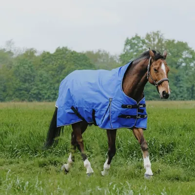 Image de Couverture Equithème Tyrex 1200D Aisance High Neck 0g - Taille 6'9